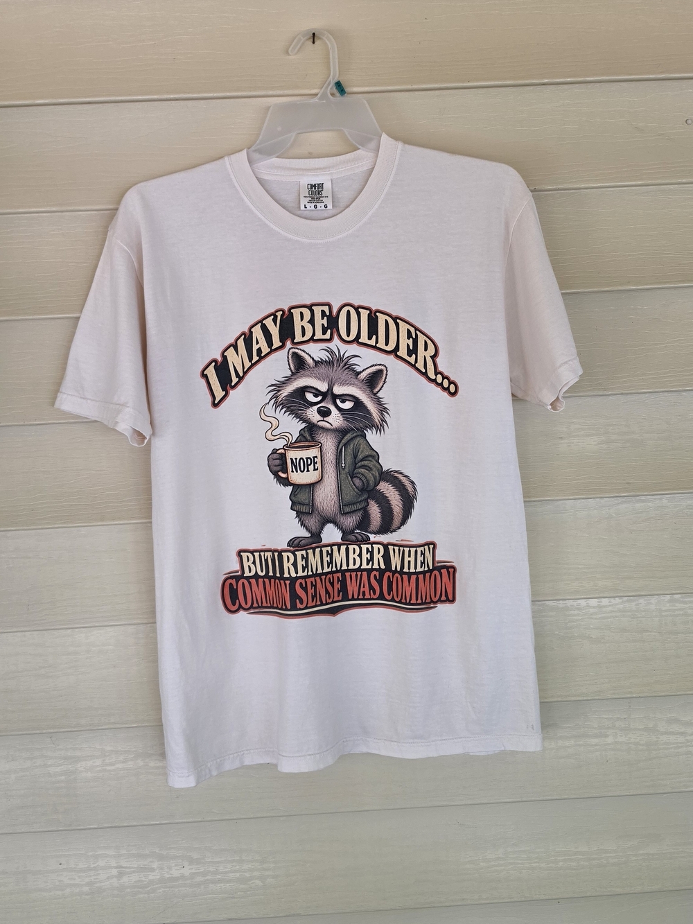 Comfort Colors Funny Raccoon Graphic Tee | I May Be Older Common Sense Shirt